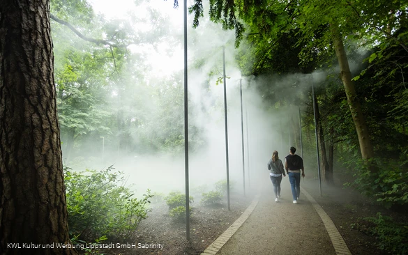 Nebelweg Bad Waldliesborn