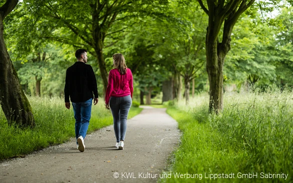 Zu Fuß an der Burgruine