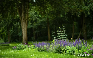 Kurpark