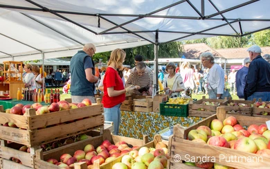 Markstand mit Äpfeln