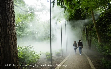 Nebelweg Bad Waldliesborn
