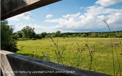 Lippeauen_Hellinghauser_Mersch_Beobachtungspunkt_Hellinghäuser_Weg_4395.jpg