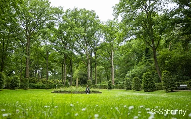 Kurpark in Bad Waldliesborn