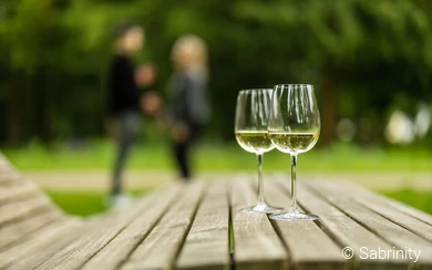 Weingläser im Kurpark