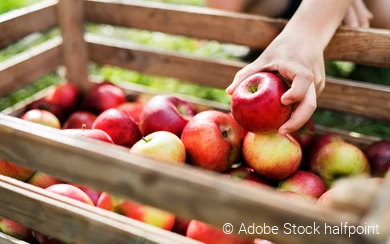 Äpfel in Kiste