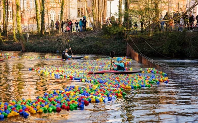 Enten treiben auf der Lippe