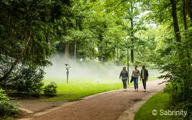 Spaziergang am Nebelweg