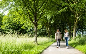 Spaziergang Burgruine Lipperode 