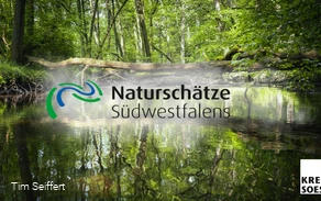 Naturschätze Südwestfalen_Foto (c) Tim Seiffert.jpeg Naturschätze Südwestfalen_Foto (c) Tim Seiffert.jpeg
