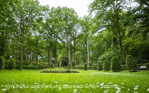 Kurpark Bad Waldliesborn