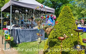 Maifest Bad Waldliesborn