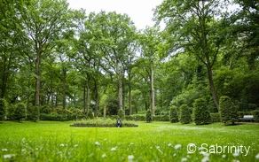 Kurpark in Bad Waldliesborn