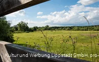 Lippeauen_Hellinghauser_Mersch_Beobachtungspunkt_Hellinghäuser_Weg_4395.jpg
