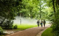 Klimaweg Bad Waldliesborn