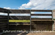 Lippeauen_Hellinghauser_Mersch_Beobachtungspunkt_Hellinghäuser_Weg_4407.jpg