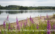 Zachariassee