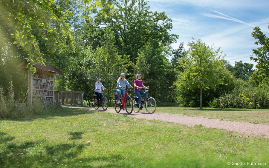Fahrräder Eulenpark © Sandra Püttmann.jpg