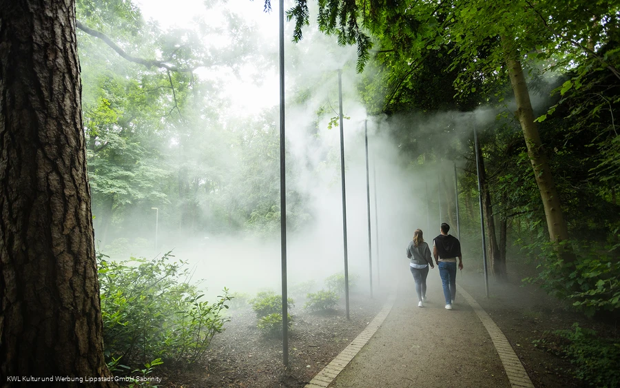 Nebelweg Bad Waldliesborn