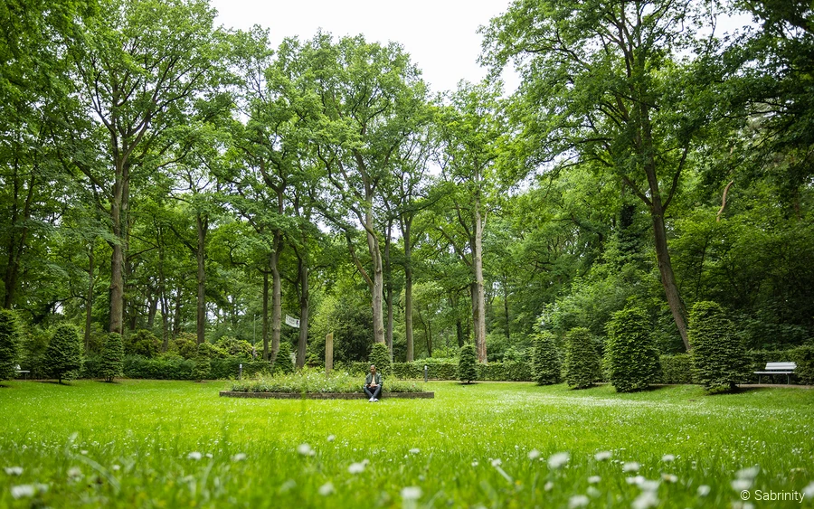 Bäume im Kurpark