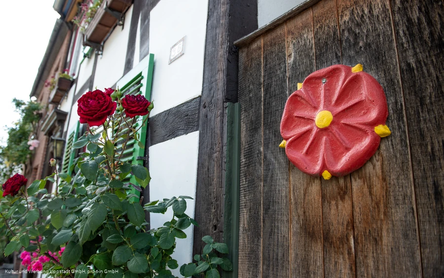 Burgstraße (c) KWL Kultur und Werbung Lippstadt GmbH Pro-t-in GmbH (2).jpg