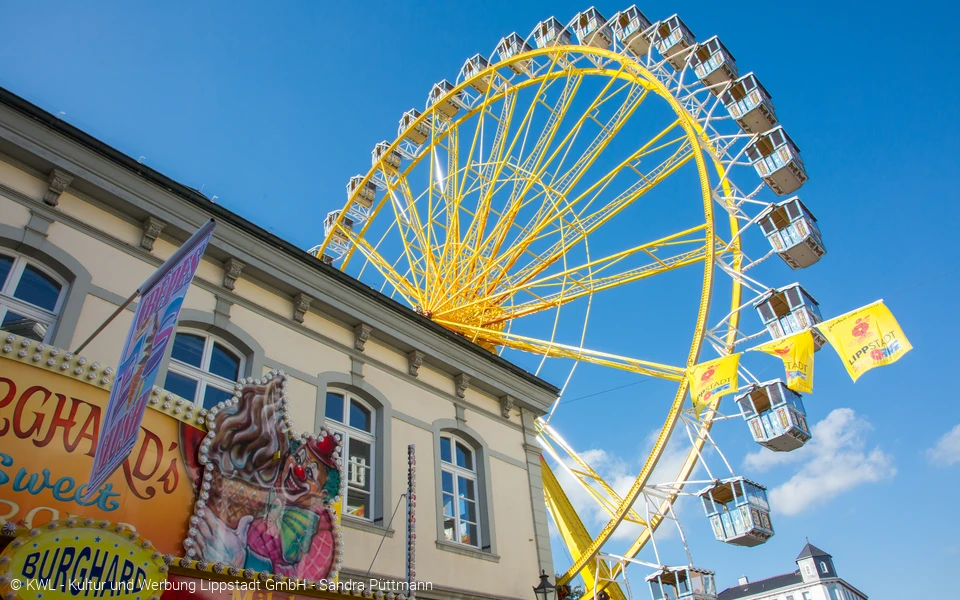 Lippstädter Herbstwoche - Lippstadt erleben - Lippstadt erleben
