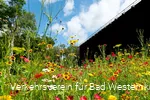 Blummenbeet