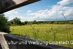Lippeauen_Hellinghauser_Mersch_Beobachtungspunkt_Hellinghäuser_Weg_4395.jpg