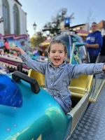 Webers Disney Flieger