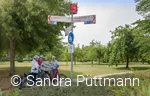 Fahrräder Knotenpunkt © Sandra Püttmann.jpg