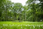 Kurpark Bad Waldliesborn