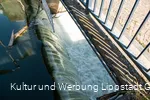 Unteres Kanalwehr (c) KWL Kultur und Werbung Lippstadt GmbH Pro-t-in GmbH (1).jpg