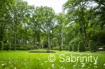 Kurpark in Bad Waldliesborn