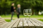 Weingläser im Kurpark