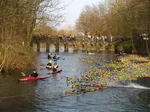 Entenrennen beim Lippstädter Lenz