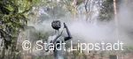 Nebelweg © Stadt Lippstadt.jpg