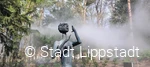Nebelweg © Stadt Lippstadt.jpg