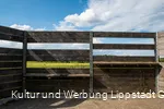 Lippeauen_Hellinghauser_Mersch_Beobachtungspunkt_Hellinghäuser_Weg_4407.jpg