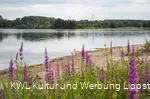 Zachariassee