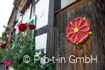Lipperose an Hauswand