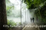 Nebelweg Bad Waldliesborn